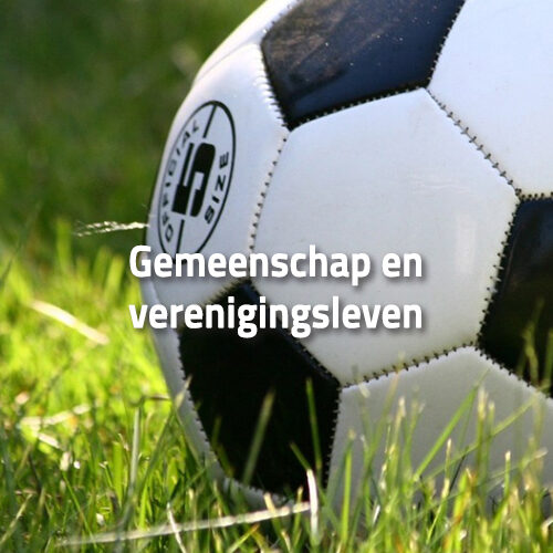 Gemeenschap en verenigingsleven