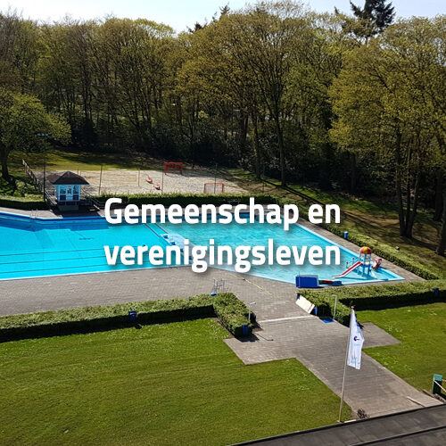 Gemeenschap en verenigingsleven