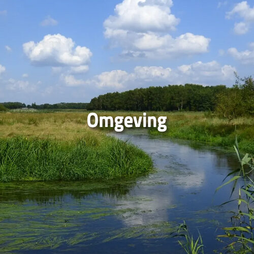 Omgeving