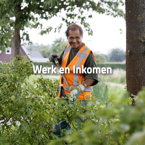 Werk en Inkomen